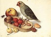 FLEGEL, Georg Still-Life with Pygmy Parrot dfg China oil painting reproduction